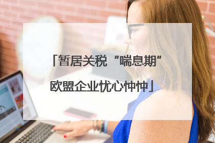 暂居关税“喘息期” 欧盟企业忧心忡忡
