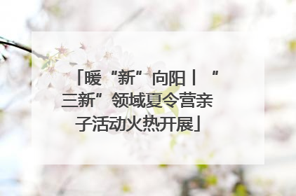暖“新”向阳丨“三新”领域夏令营亲子活动火热开展