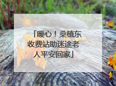暖心！桑植东收费站助迷途老人平安回家
