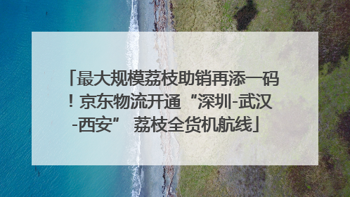 最大规模荔枝助销再添一码！京东物流开通“深圳-武汉-西安” 荔枝全货机航线