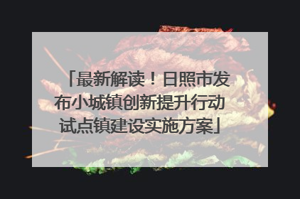 最新解读！日照市发布小城镇创新提升行动试点镇建设实施方案