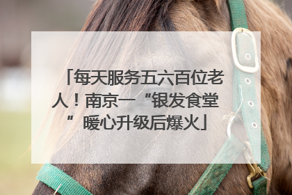每天服务五六百位老人！南京一“银发食堂”暖心升级后爆火