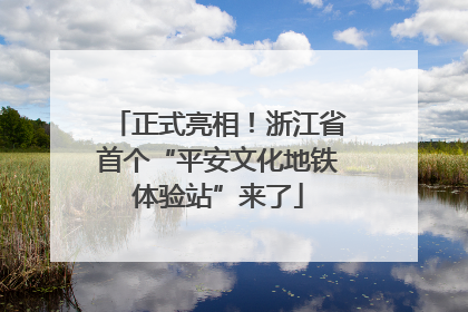 正式亮相！浙江省首个“平安文化地铁体验站”来了