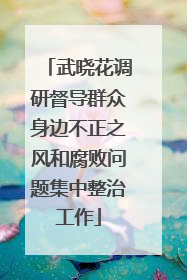 武晓花调研督导群众身边不正之风和腐败问题集中整治工作