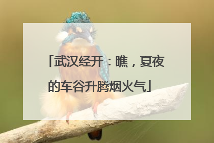 武汉经开：瞧，夏夜的车谷升腾烟火气
