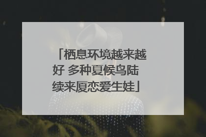 栖息环境越来越好 多种夏候鸟陆续来厦恋爱生娃
