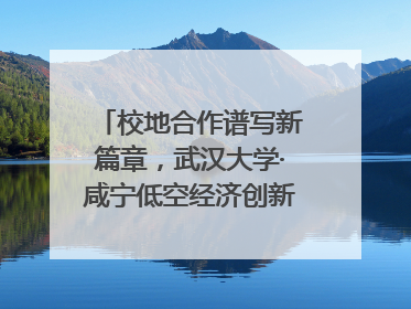 校地合作谱写新篇章，武汉大学·咸宁低空经济创新研究院签约成立