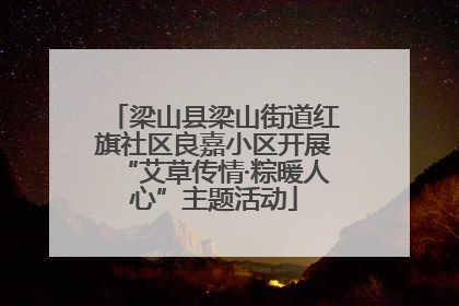 梁山县梁山街道红旗社区良嘉小区开展“艾草传情·粽暖人心”主题活动