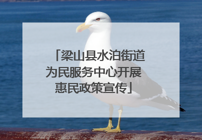 梁山县水泊街道为民服务中心开展惠民政策宣传