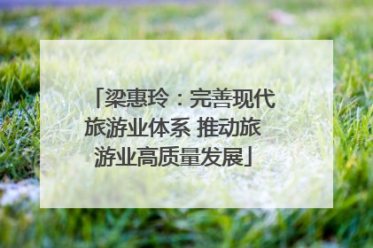 梁惠玲：完善现代旅游业体系 推动旅游业高质量发展