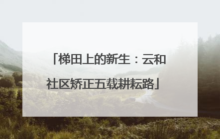 梯田上的新生：云和社区矫正五载耕耘路