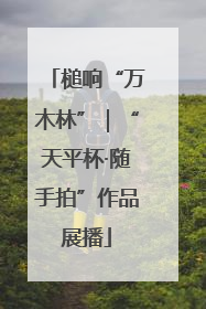 槌响“万木林”｜“天平杯·随手拍”作品展播