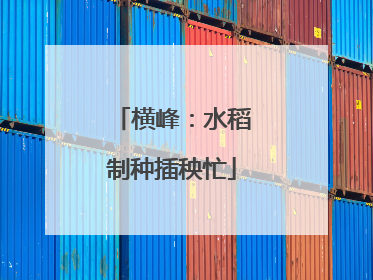 横峰：水稻制种插秧忙