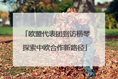 欧盟代表团到访横琴 探索中欧合作新路径
