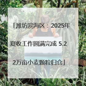 潍坊滨海区：2025年夏收工作圆满完成 5.22万亩小麦颗粒归仓