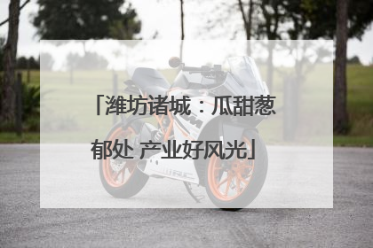 潍坊诸城：瓜甜葱郁处 产业好风光