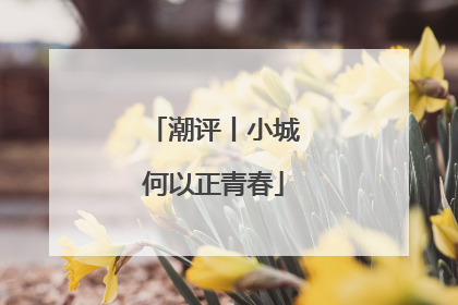 潮评丨小城何以正青春