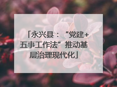 永兴县：“党建+五事工作法”推动基层治理现代化