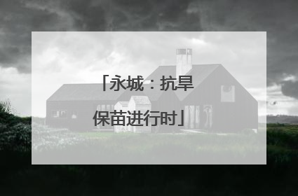 永城：抗旱保苗进行时