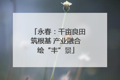 永春：千亩良田筑根基 产业融合绘“丰”景