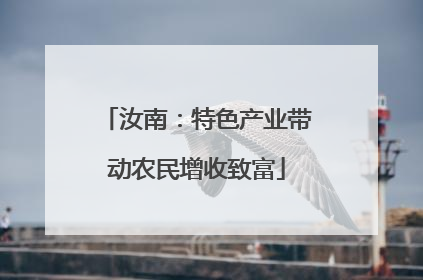 汝南：特色产业带动农民增收致富