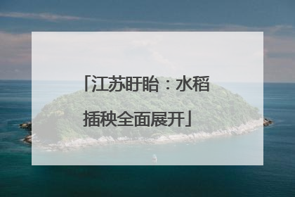 江苏盱眙：水稻插秧全面展开