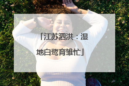 江苏泗洪：湿地白鹭育雏忙