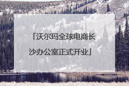 沃尔玛全球电商长沙办公室正式开业