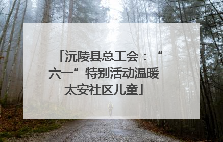 沅陵县总工会：“六一”特别活动温暖太安社区儿童