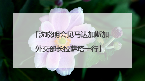 沈晓明会见马达加斯加外交部长拉萨塔一行