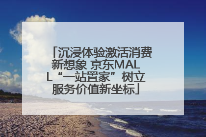 沉浸体验激活消费新想象 京东MALL“一站置家”树立服务价值新坐标