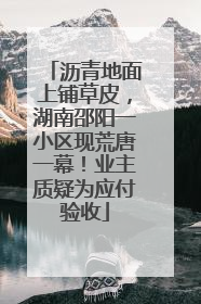 沥青地面上铺草皮，湖南邵阳一小区现荒唐一幕！业主质疑为应付验收
