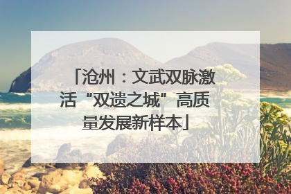 沧州：文武双脉激活“双遗之城”高质量发展新样本