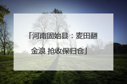 河南固始县：麦田翻金浪 抢收保归仓