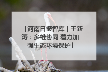 河南日报智库｜王新涛：多维协同 着力加强生态环境保护