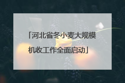 河北省冬小麦大规模机收工作全面启动