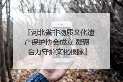 河北省非物质文化遗产保护协会成立 凝聚合力守护文化根脉