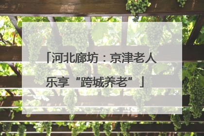 河北廊坊：京津老人乐享“跨城养老”