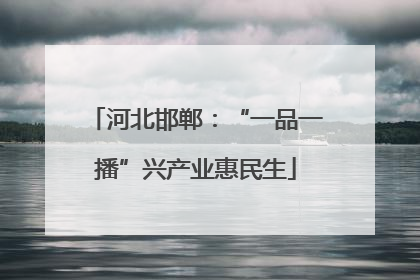 河北邯郸：“一品一播”兴产业惠民生