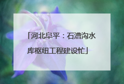 河北阜平：石漕沟水库枢纽工程建设忙