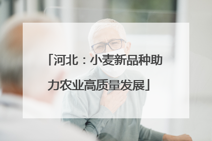 河北：小麦新品种助力农业高质量发展