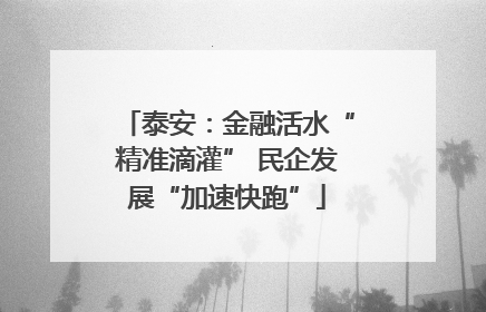 泰安：金融活水“精准滴灌” 民企发展“加速快跑”