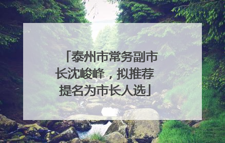 泰州市常务副市长沈峻峰，拟推荐提名为市长人选