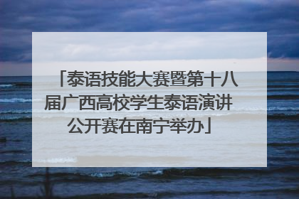 泰语技能大赛暨第十八届广西高校学生泰语演讲公开赛在南宁举办