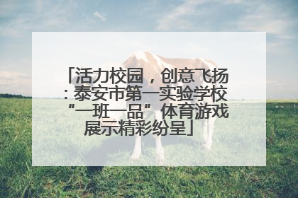活力校园，创意飞扬：泰安市第一实验学校“一班一品”体育游戏展示精彩纷呈