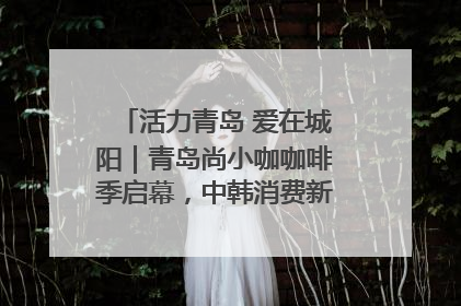 活力青岛 爱在城阳｜青岛尚小咖咖啡季启幕，中韩消费新场景点燃夏日热情