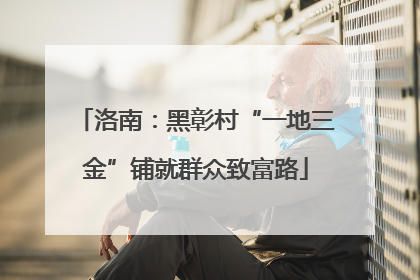 洛南：黑彰村“一地三金”铺就群众致富路