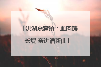 洪湖燕窝镇：血肉铸长堤 奋进谱新曲