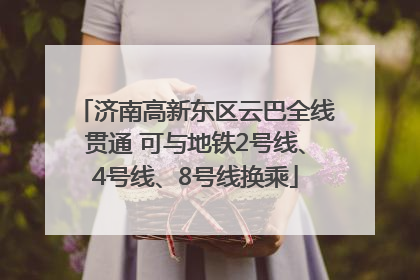 济南高新东区云巴全线贯通 可与地铁2号线、4号线、8号线换乘
