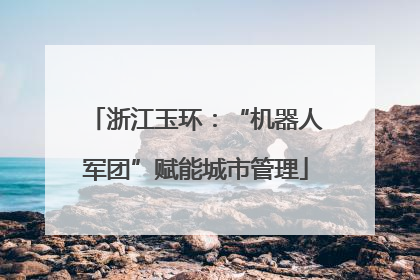 浙江玉环：“机器人军团”赋能城市管理
